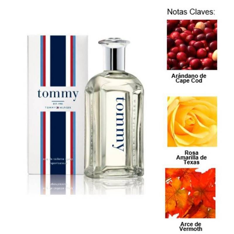 Tommy Hilfiger Men edt 100ml Hombre