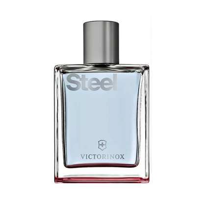 Victorinox Steel 100ml Hombre